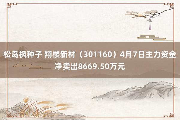 松岛枫种子 翔楼新材（301160）4月7日主力资金净卖出8669.50万元