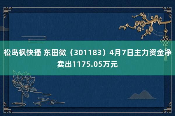 松岛枫快播 东田微（301183）4月7日主力资金净卖出1175.05万元