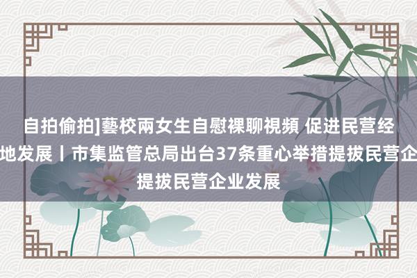 自拍偷拍]藝校兩女生自慰裸聊視頻 促进民营经济高质地发展丨市集监管总局出台37条重心举措提拔民营企业发展