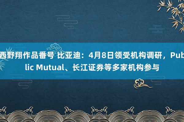 西野翔作品番号 比亚迪：4月8日领受机构调研，Public Mutual、长江证券等多家机构参与