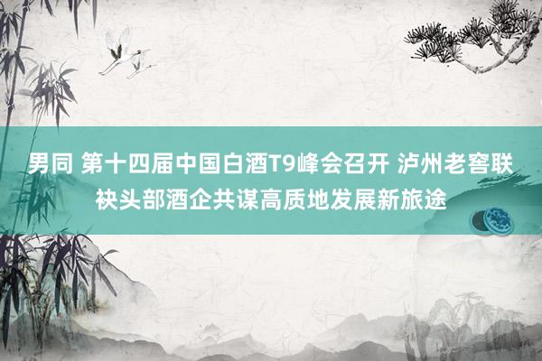 男同 第十四届中国白酒T9峰会召开 泸州老窖联袂头部酒企共谋高质地发展新旅途