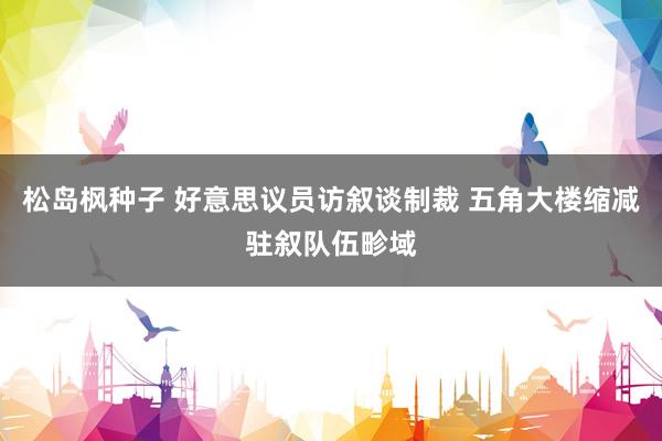 松岛枫种子 好意思议员访叙谈制裁 五角大楼缩减驻叙队伍畛域