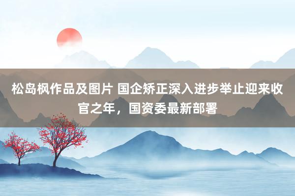 松岛枫作品及图片 国企矫正深入进步举止迎来收官之年，国资委最新部署
