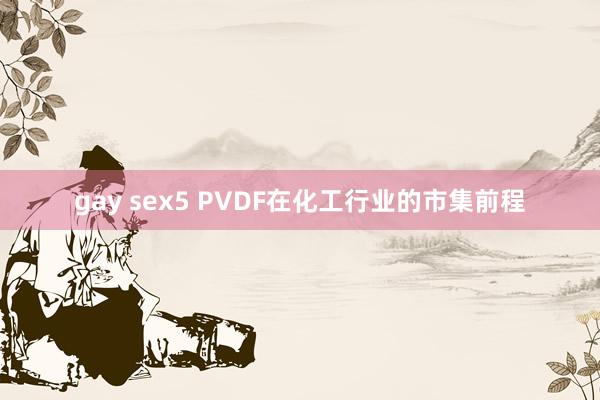 gay sex5 PVDF在化工行业的市集前程