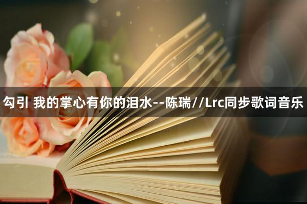 勾引 我的掌心有你的泪水--陈瑞//Lrc同步歌词音乐