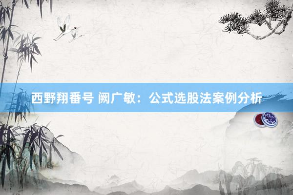 西野翔番号 阙广敏：公式选股法案例分析