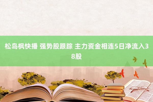 松岛枫快播 强势股跟踪 主力资金相连5日净流入38股