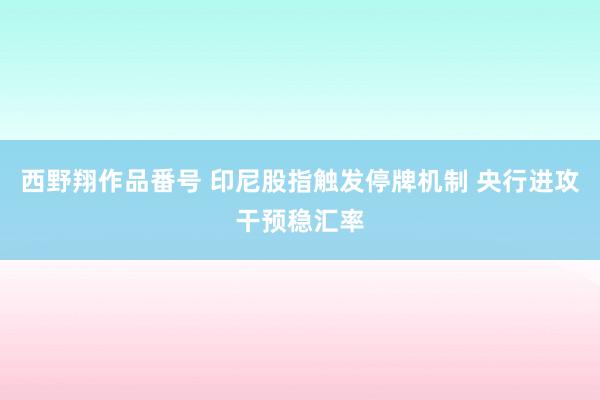 西野翔作品番号 印尼股指触发停牌机制 央行进攻干预稳汇率