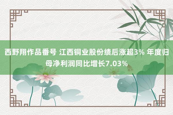 西野翔作品番号 江西铜业股份绩后涨超3% 年度归母净利润同比增长7.03%