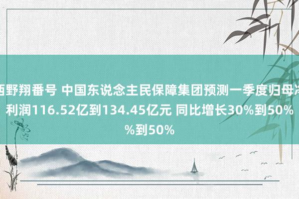 西野翔番号 中国东说念主民保障集团预测一季度归母净利润116.52亿到134.45亿元 同比增长30%到50%
