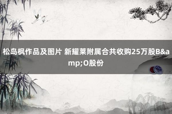 松岛枫作品及图片 新耀莱附属合共收购25万股B&O股份