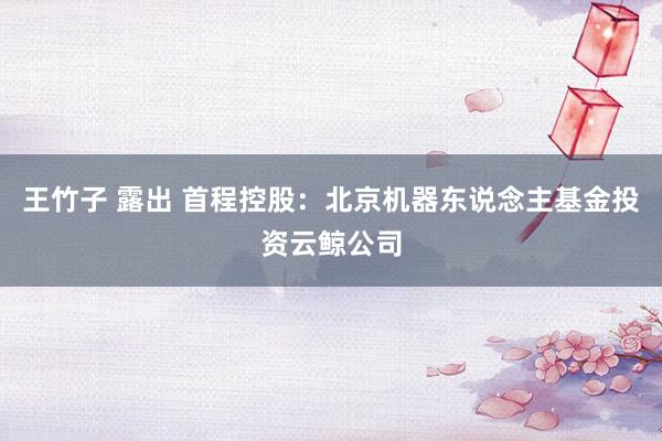 王竹子 露出 首程控股：北京机器东说念主基金投资云鲸公司