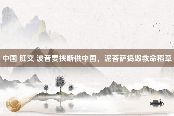 中国 肛交 波音要挟断供中国，泥菩萨捣毁救命稻草