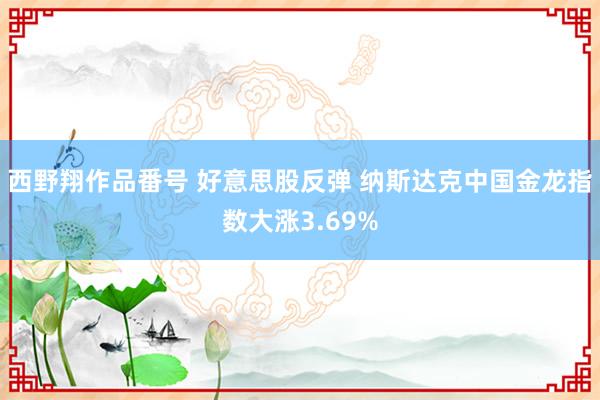 西野翔作品番号 好意思股反弹 纳斯达克中国金龙指数大涨3.69%