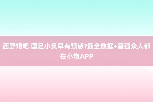 西野翔吧 国足小负早有预感?最全数据+最强众人都在小炮APP