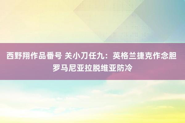西野翔作品番号 关小刀任九：英格兰捷克作念胆 罗马尼亚拉脱维亚防冷