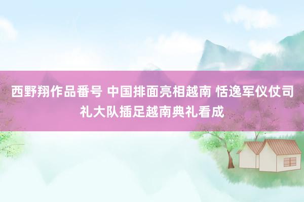 西野翔作品番号 中国排面亮相越南 恬逸军仪仗司礼大队插足越南典礼看成