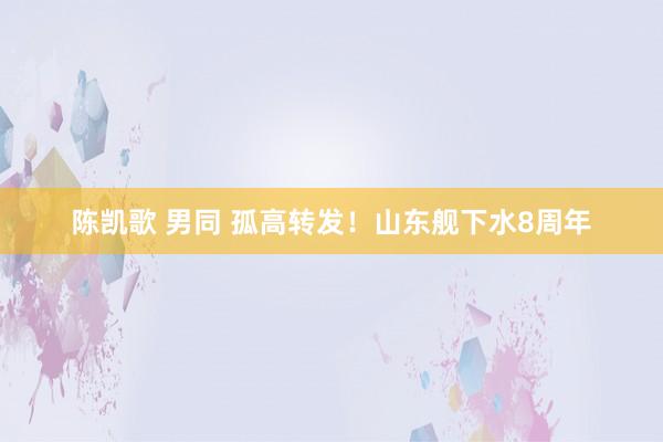 陈凯歌 男同 孤高转发！山东舰下水8周年