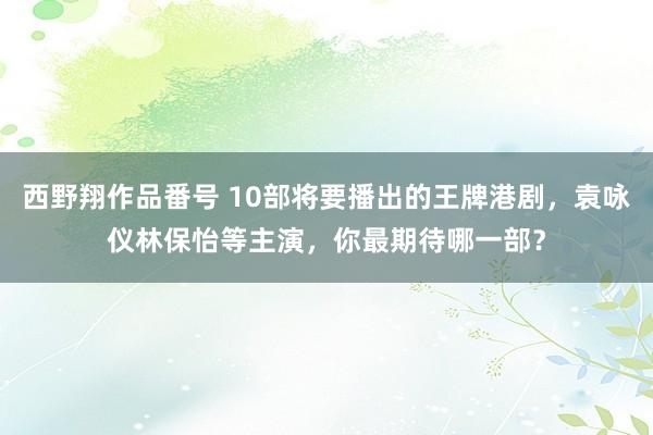 西野翔作品番号 10部将要播出的王牌港剧，袁咏仪林保怡等主演，你最期待哪一部？