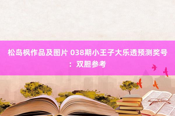 松岛枫作品及图片 038期小王子大乐透预测奖号：双胆参考